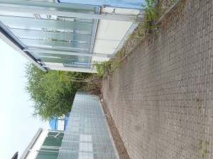 k-P1060578